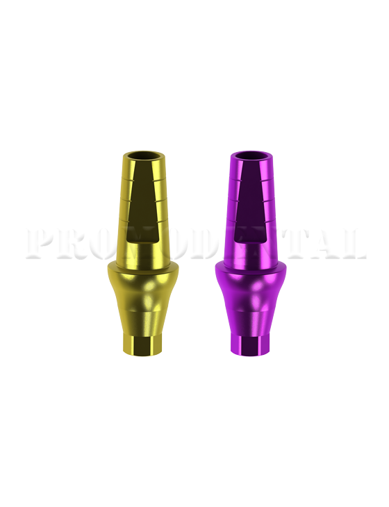 pilier-anatomique-droit-Pilier anatomique droit.png